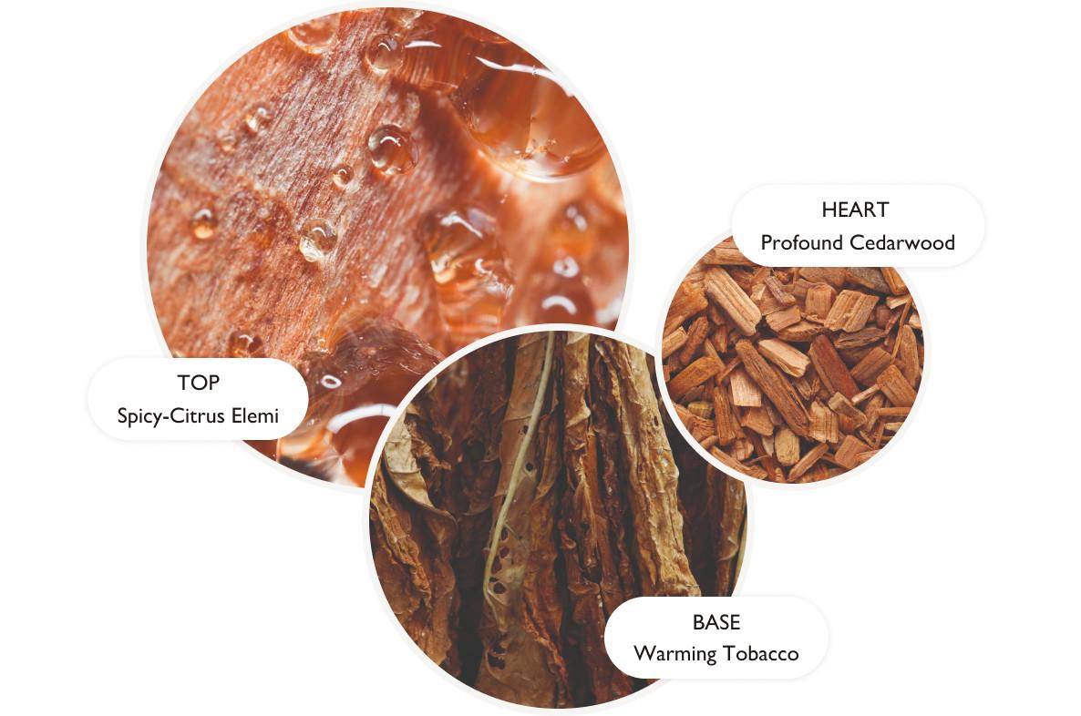 who first used tobacco What everyone gets wrong about the history of cigarettes