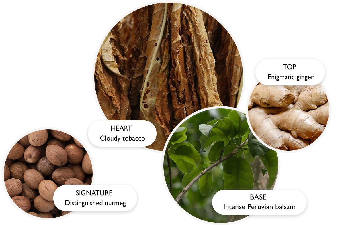 MOLTON BROWN TOBACCO ABSOLUTE タバコアブソリュート タバコアブソリュート オードパルファン 100ml – MOLTON BROWN