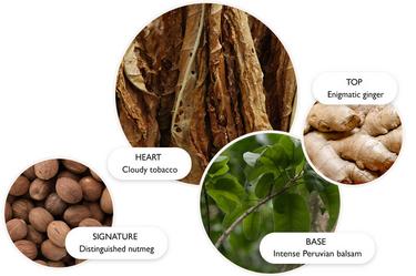 Tobacco Absolute Uses and Benefits