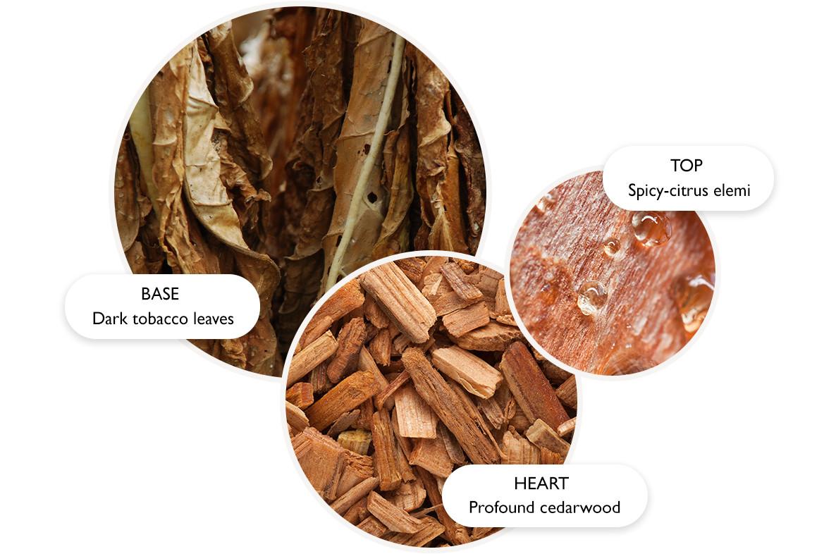 Hình ảnh của Molton Brown, Fragrance Pyramid Tobacco Absolute, EDT.