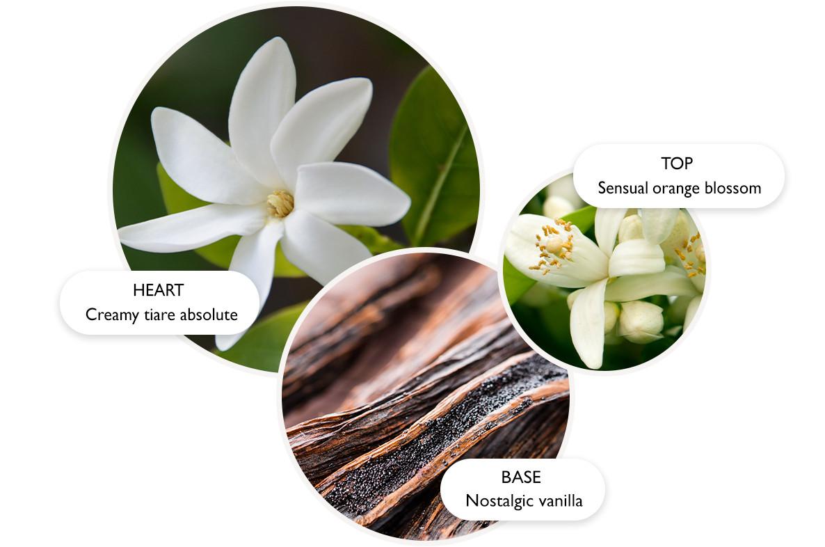 Flora Luminare Perfume | Molton Brown US