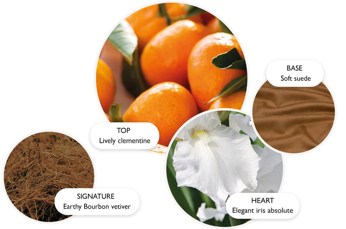 Sunlit Clementine & Vetiver Eau de Parfum | Molton Brown® US