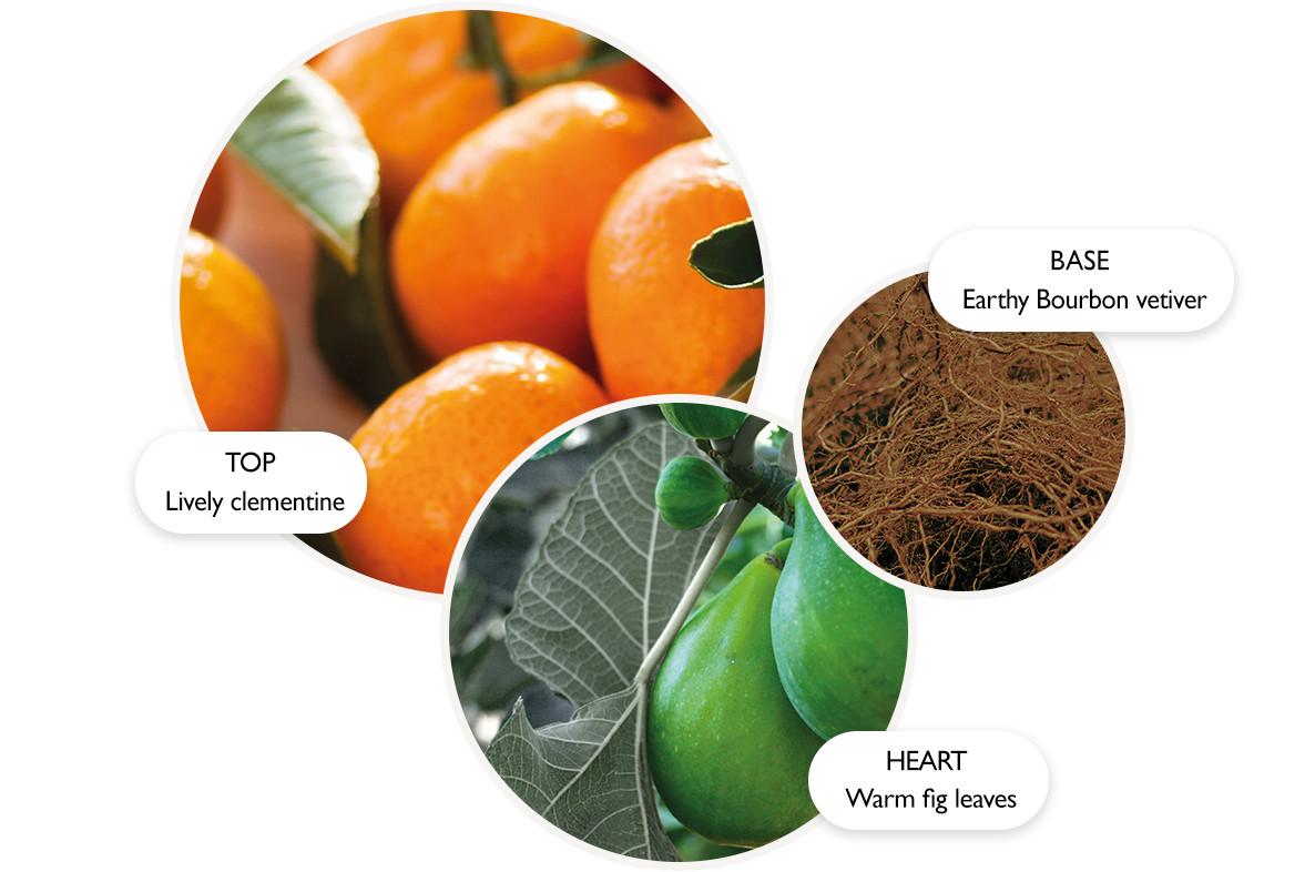 モルトンブラウン SUNLIT CLEMENTINE & VETIVER Sunlit Clementine & Vetiver Eau de Toilette Gift Set