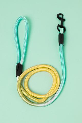 Leash