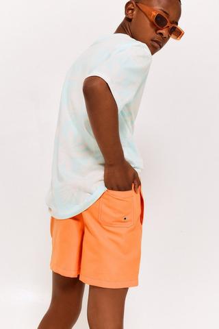 Swim Shorts