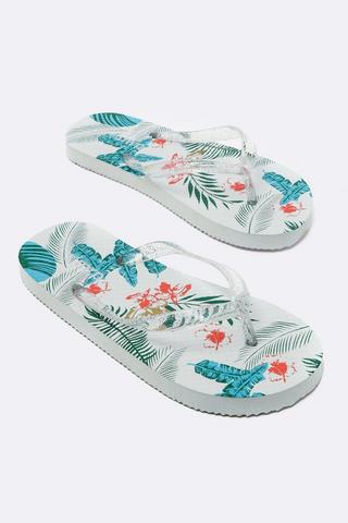 Slops