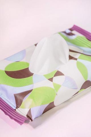 10 Wet Wipes