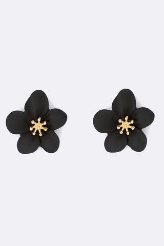 Stud Earrings