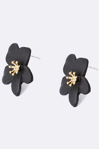 Stud Earrings