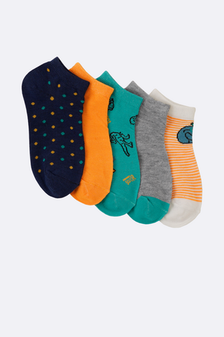 5 Pack Hidden Socks