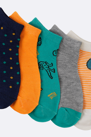 5 Pack Hidden Socks