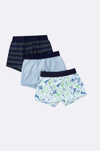3 Pack Trunks