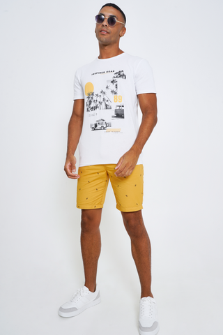 Chino Shorts