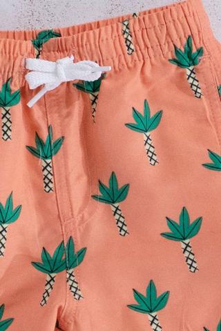Swim Shorts