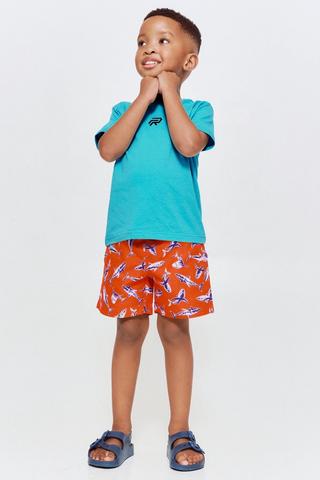 Swim Shorts