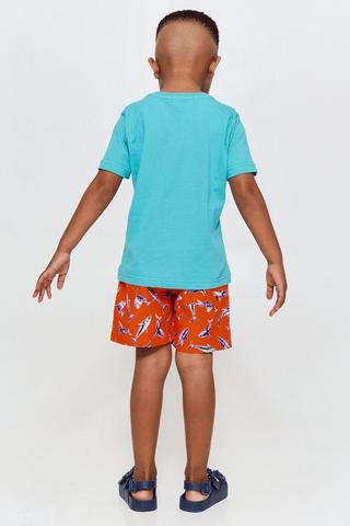 Swim Shorts