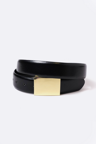 Plaque Belt