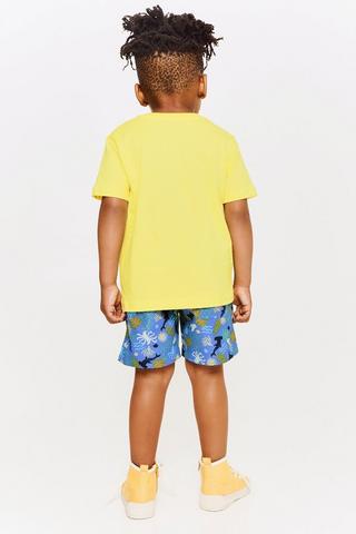 Swim Shorts