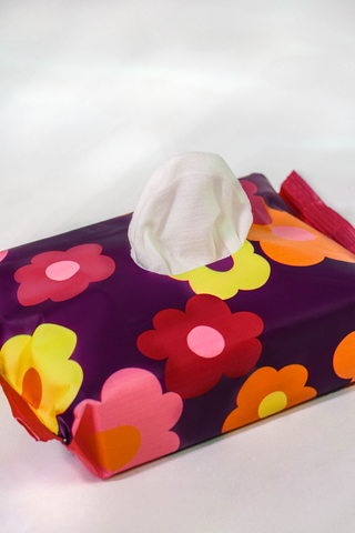 25 Wet Wipes