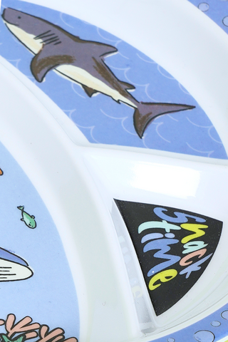 Kids Divider Plate