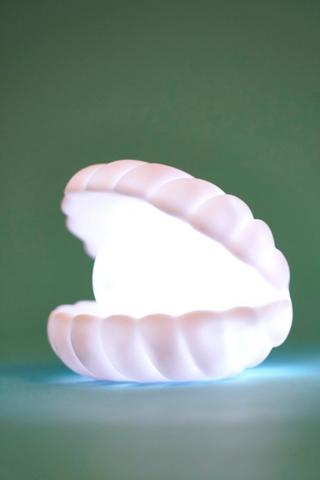 Shell Nightlight