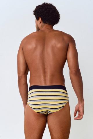 3 Pack Briefs