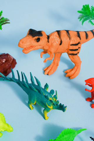 Dino Play Set