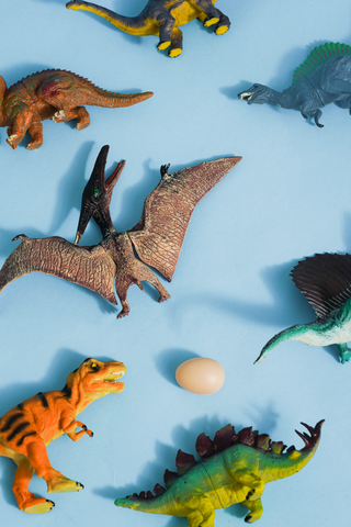 Dino Set 13 Pieces