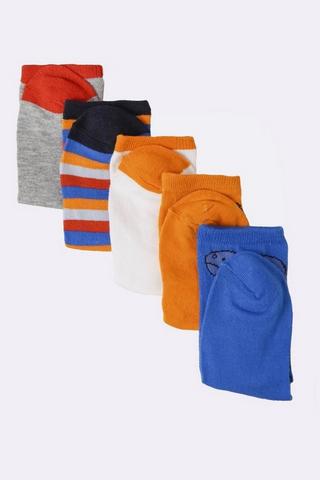 5 Pack Dino Socks