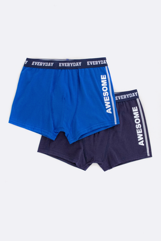 2 Pack Trunks