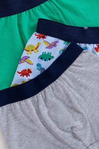 3 Pack Trunks