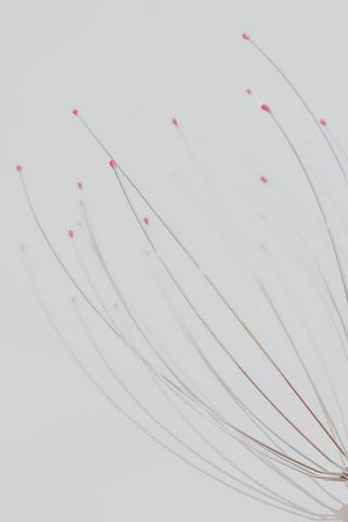 Scalp Massager