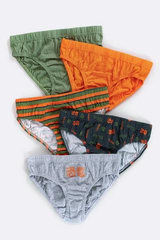 5 Pack Briefs