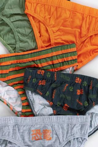 5 Pack Briefs