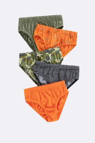 5 Pack Briefs
