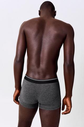 3 Pack Trunks