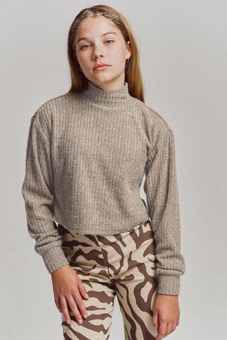 Long Sleeve Turtle Neck Top
