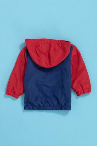 Disney Windbreaker