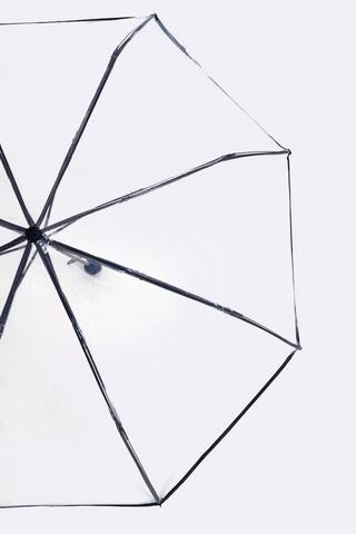Umbrella
