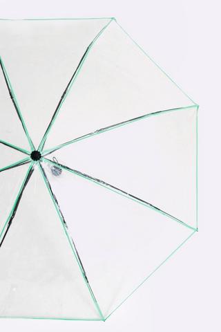 Umbrella