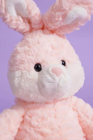 Bunny Soft Toy