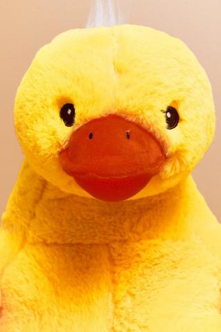 Duck Soft Toy