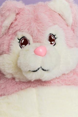 Cat Soft Toy