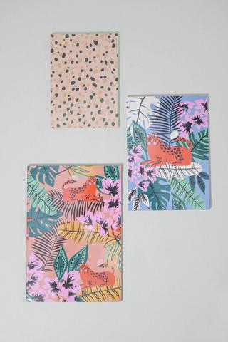 3 Pack Notebooks