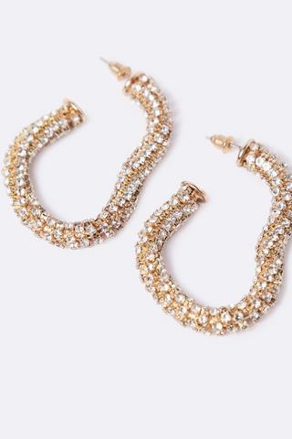 Hoop Earrings