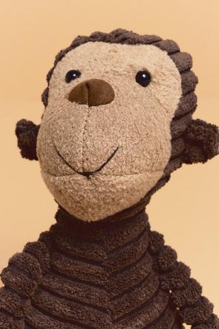 Monkey Soft Toy