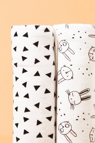 2 Pack Flannel Blankets