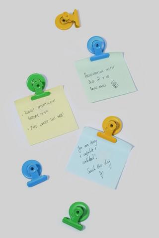 6 Pack Magnetic Clips