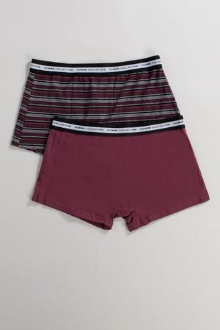 2 Pack Trunks