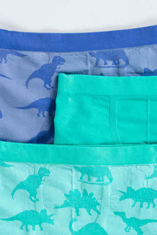 3 Pack Seamless Trunks